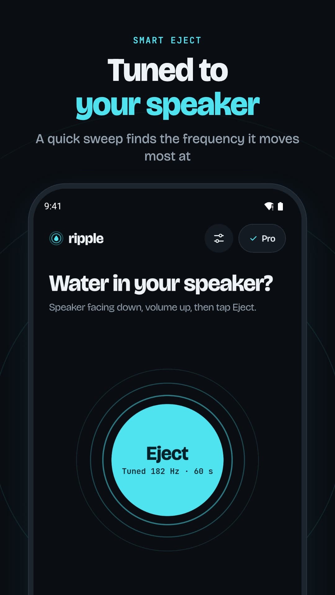 Tuned to Your Speaker